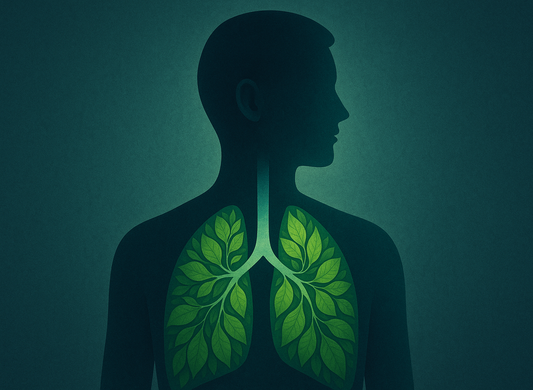 How Can a Liquid Supplement Support Your Lungs If You Breathe Through Them?